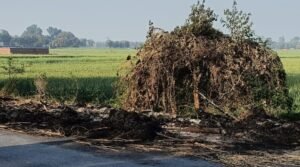 अराजकतत्वों ने दो-दो बार फूंकी होलिका, पुलिस ने जताई अनभिज्ञता